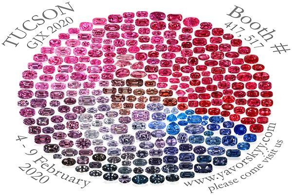 Meet Yavorskyy Team in Tucson 2020