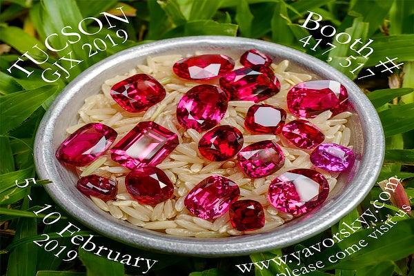 Join Yavorskyy in Tucson 5-10 February!