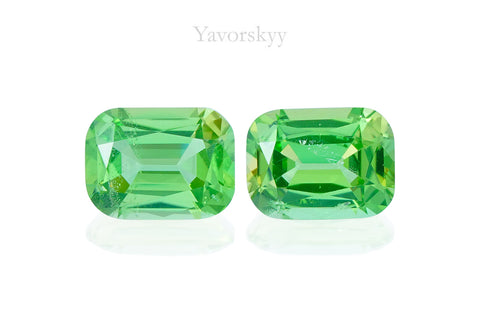 Kornerupine 1.01 ct / 2 pcs