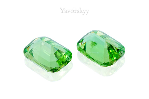 Kornerupine 1.01 ct / 2 pcs