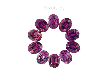Rhodolite Garnet 15.42 cts / 10 pcs