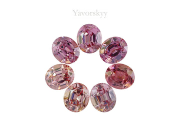 Malaia Garnet 9.92 cts / 7 pcs